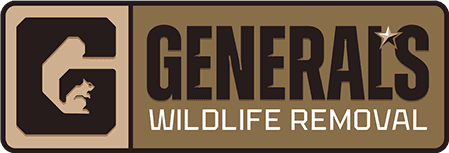 General's Wildlife Removal